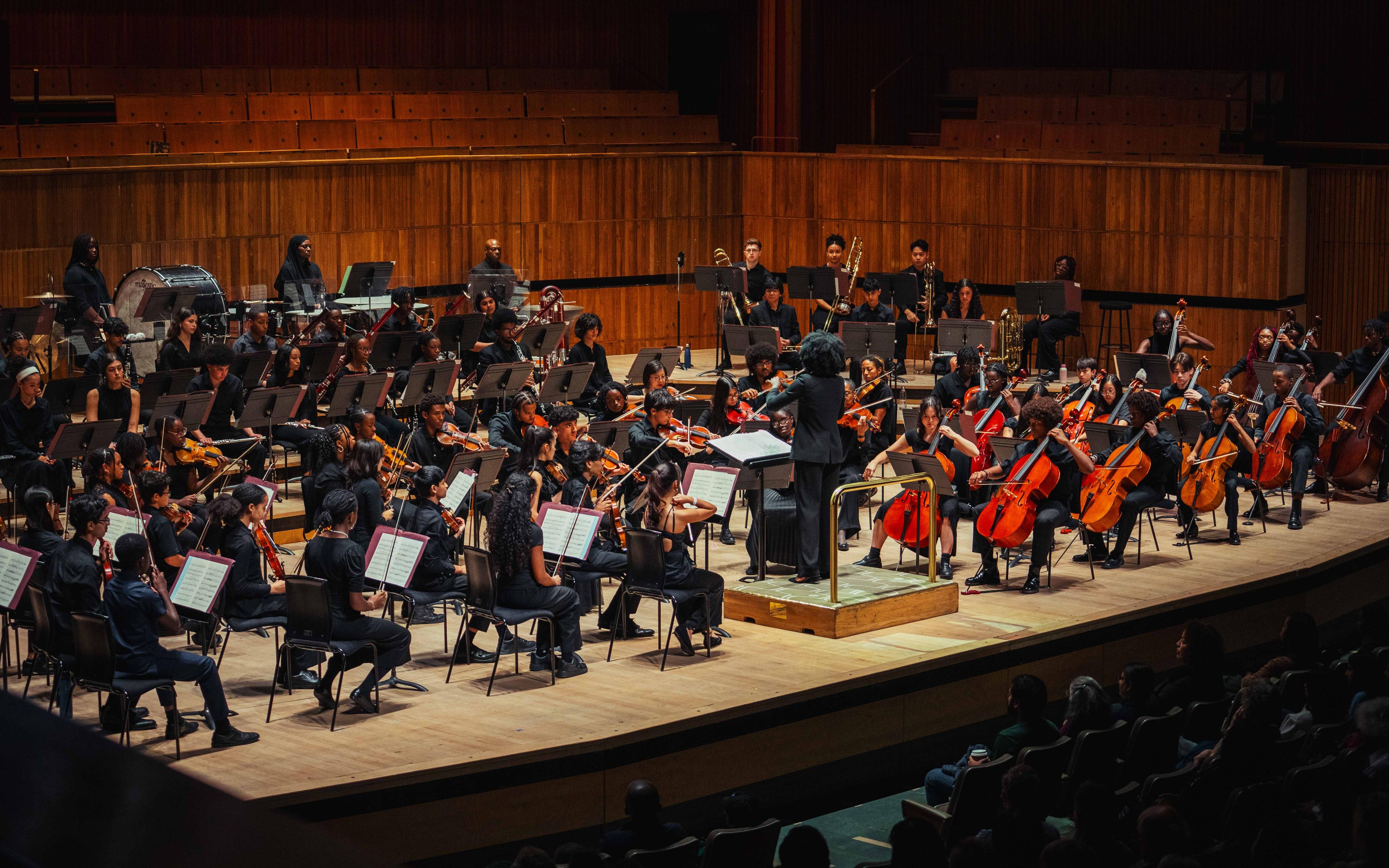 Chineke! Junior Orchestra